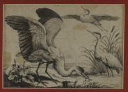 Dvojice leptů s ptáky [Václav Hollar (1607-1677) Francis Barlow (1626-1702)]