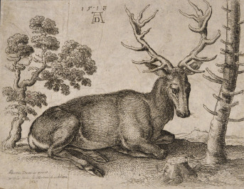 Jelen [Václav Hollar (1607-1677), Albrecht Dürer (1471-1528)]