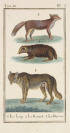 Collection of Copperplates with Animal Motifs [Georges-Louis Leclerc de Buffon (1707-1788)]