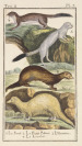 Drei Konvolute von Drucken mit Tiermotiven [Georges-Louis Leclerc de Buffon (1707-1788)]