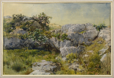 Sträucher auf den Felsen [Beneš Knüpfer (1844-1910)]