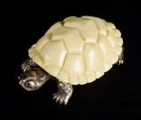 Turtle []