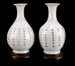 A Pair of Vases []