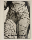 Edice mezinárodní fotografie / svazek 8 [Vilém Reichmann (1908-1991)]