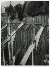 Gargoyle and the support system of the St. Vitus Cathedral [Josef Ehm (1909-1989)]