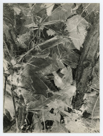 Fallen leaves - Jundrov (from the cycle Flowers of Frost) [Miloš Spurný (1922-1979)]