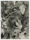 Spadlé listí - Jundrov (z cyklu Květy mrazu) [Miloš Spurný (1922-1979)]