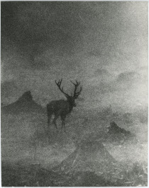 Deer in the fog (Untitled) [Sláva Štochl (1913-1990)]