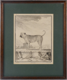Dvojice psů [Pierre Charles Baquoy (1759-1829), Georges-Louis Leclerc de Buffon (1707-1788)]